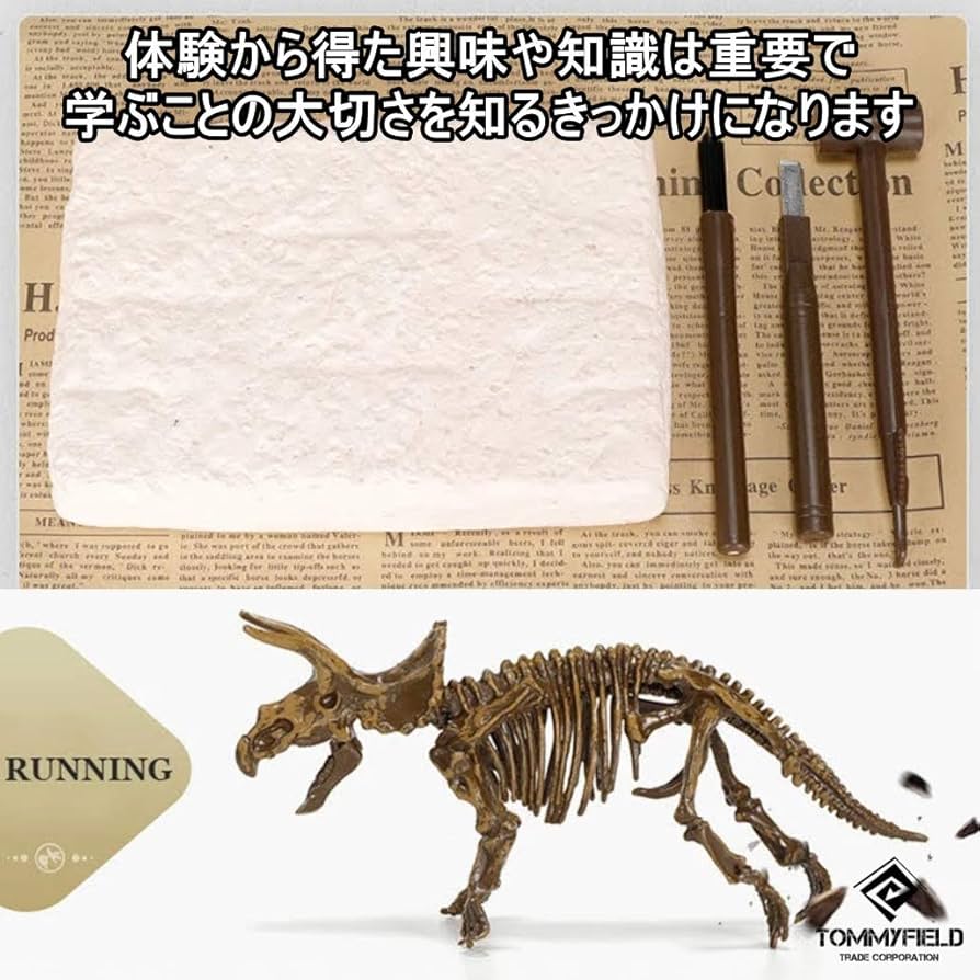 化石　恐竜の骨セット　ティラノサウルス　イグアノドン他 Amazon | 正直屋 恐竜発掘骨格 化石発掘キット 化石 発掘